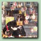 [Click to enlarge image]