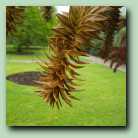 [Click to enlarge image]