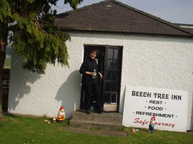 Herdis @ Beach Tree Inn