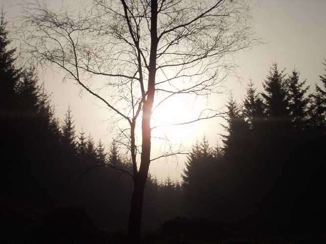 A new day - 24 miles to go
