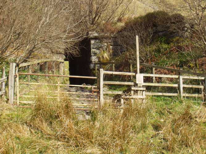 Fence crossing