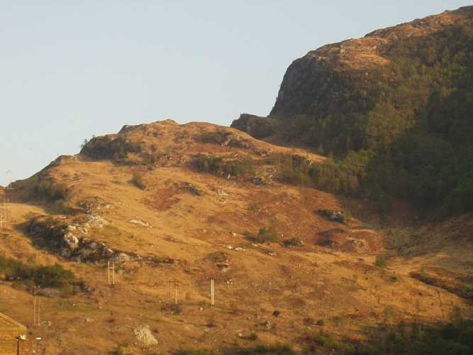 Late afternoon