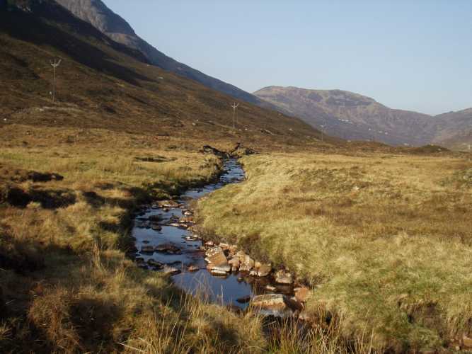 Endless wilderness