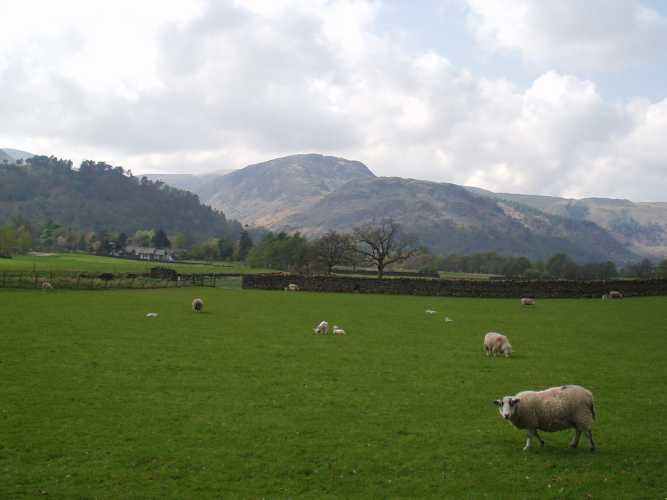 And the rest of their family