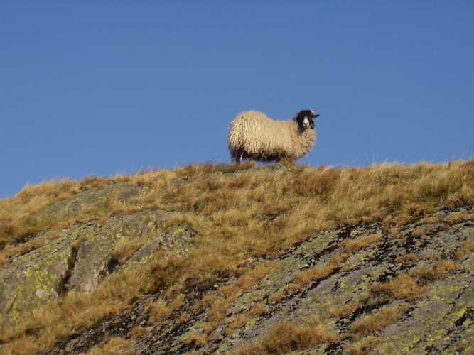 Somewhere in near the top