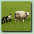 [Click to enlarge image]