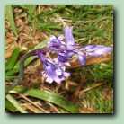 [Click to enlarge image]