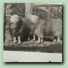 [Click to enlarge image]