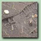 [Click to enlarge image]