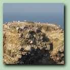 [Click to enlarge image]